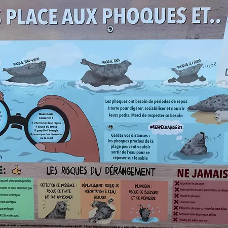 Daire Refuge Des Dunes Marck
