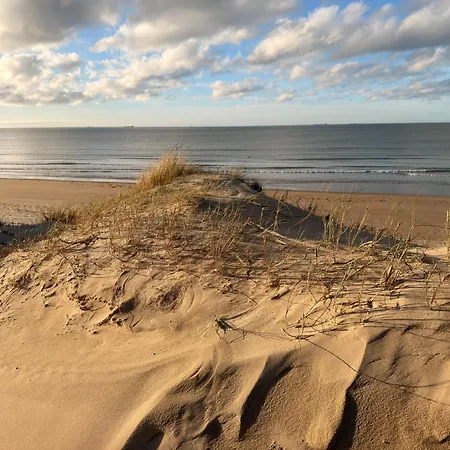 Daire Refuge Des Dunes Marck