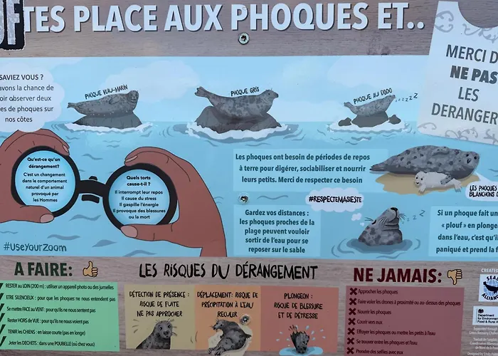 아파트 Refuge Des Dunes Marck